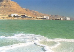 طرح عطاء التنقيب عن النفط في «الميت» و«الشمالية» خلال اسبوع