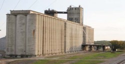 537 الف طن مخزون المملكة من القمح و64 مليون دينار قيمة الدعم الحكومي