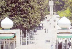 وسط غياب تخصصات وأخرى لا تواكب العصر..انتقادات لسياسة قبول "الأردنية"