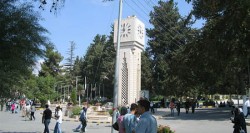 انذار جامعة رسمية لمخالفاتها صحيا ونفوق 10 بقرات في "الاردنية"