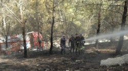 حريق يلتهم 30 دونما من غابات وصفي التل