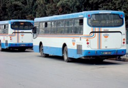 لا تعديل على أجور النقل العام