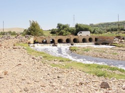 القحط والجفاف يهددان المزارعين وأصحاب الثروة الحيوانية بالزرقاء