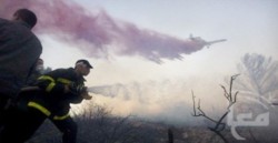 وحدات أردنية تشارك في اخماد حرائق "الكرمل" والسيطرة تستغرق عدة أيام