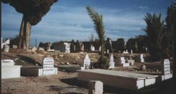 مواطن يزرع مقبرة بأشجار الجوافة في بلدية خالد بن الوليد