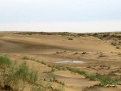 مقتل عضو بالعائلة الحاكمة في قطر في حادث سيارة بالعراق