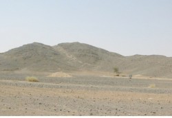 النائب الزوايدة يطالب الحكومة اعلان الجنوب منكوبا زراعيا