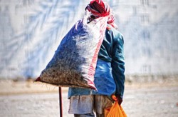 خبراء: دراسة الطبقة الوسطى تكشف ان نصف الاردنيين فقراء