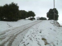 طرق المملكة سالكة باستثناء طريق اربد عجلون