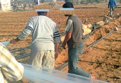 "فوضى" في اوضاع العمال وشبهة "اتجار بالبشر" تمارس على "المصريين"