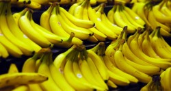 منع شحنتي موز وبصل لبنانيتين من دخول السوق الاردنية‎