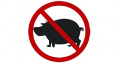 الاصابة الثالثة.. اصابة جديدة بانفلونزا الخنازير في اربد