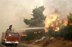 حريق يلتهم 25 دونما من الأشجار المثمرة في الكرك