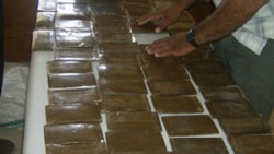 القاهرة: حبس سورى وأردنى على ذمة التحقيق لاتهامهما بجلب 10 كيلو حشيش