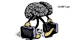 الساكت: فروقات المكافآت والحوافز تهدد بهجرة الكفاءات في القطاع الحكومي