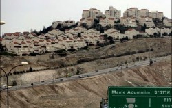 واشنطن تزمع استخدام "الفيتو" ضد إدانة الاستيطان