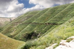 مواطنون: هزة ارضية خفيفة في الاغوار الشمالية