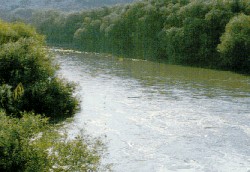 المملكة ترفض مقترحاً إسرائيلياً لتأهيل نهر الأردن