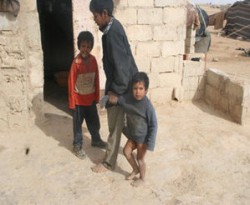 "العناني" يرفض سحب الجنسيات ويحذر من عام اقتصادي صعب