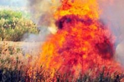 اخماد حريق التهم 10 دونمات من بساتين ضانا في الطفيلة