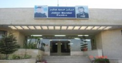 الجمارك تضبط نحو 1000 قيراط ألماس