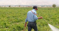 تخفيض أثمان المياه المتراكمة على المزارعين الى 50 فلسا للمتر المكعب