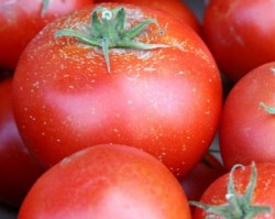 سوريا ترفض شحنتي بندورة اردنية مخالفتين للمواصفات