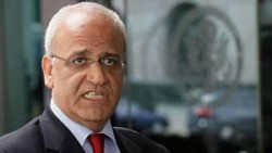 عريقات : وثائق "الجزيرة" مزوَّرة ومستعدون لنشر أرشيف المفاوضات