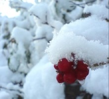 الامطار متواصلة ..