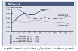 الصناعة تؤكد توفر مخزون من القمح يكفي 9.5 شهر والشعير 7 أشهر