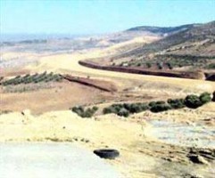 فتح تحقيق أمني حول إطلاق نار على معتصمين من عشائر بني حسن على طريق جامعة الزرقاء الاهلية