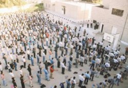 اسماء 228 معلما ومعلمة ومهندساً للتعيين في "التربية"