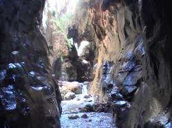 العثور على شبان ضلوا طريقهم في وادي ابن حماد منذ يومين