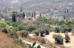 "المناطق التنموية" تشكو مواطنين اعتدوا على أراضي "سويمة" إلى الحكومة