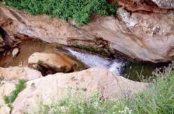 وادي زقيق في عجلون ثروة بحاجة لمشروع انقاذ ليحجز مكانه بين المواقع السياحية