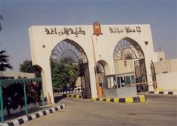 طلاب زراعة "مؤتة" يعتصمون لتحسين ظروف كليتهم