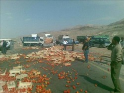 مزارعو الأغوار يهددون بإغلاق طريق العقبة في حال عدم تعويض خسائرهم