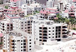 (المالية) تنسّب بتمديد قرار تخفيض رسوم نقل ملكية العقار