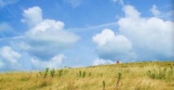 ارتفاع درجات الحرارة اليوم وغدا