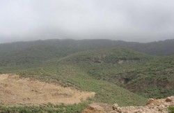 محتالان يبيعان «أرض دولة» لمواطن بـ 16 ألف دينار