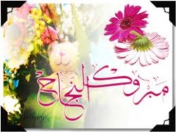 "العراب نيوز" تنشر نتيجة امتحان الشامل