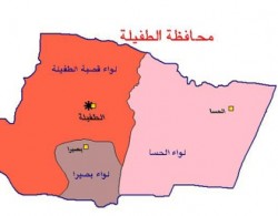 حدث يقتل قريبته التسعينية في الطفيلة