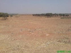 شبكة من 6 أشخاص تبيع أرضا مرتين بأوراق مزورة بقيمة 400 ألف دينار