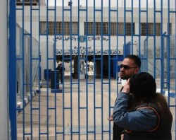 الحكومة تدرس تفاصيل قرار العفو العام والقضايا والملفات التي سيشملها