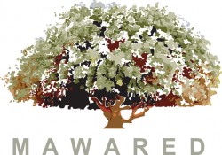 تسوية مطالبات (الضمان) المترتبة على (موارد)..الارض مقابل المال