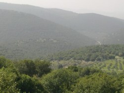 الموافقة على إقامة مشروع الكلية العسكرية في برقش