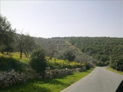 شبهات ومخالفات قانونية في مشروع الكلية العسكرية ب "برقش