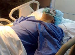 اعتصام لعشيرة الجراح احتجاجا على رواية الدرك لإصابة ابنهم