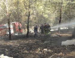 حريق هائل يلتهم 150 دونما في تل الرمان