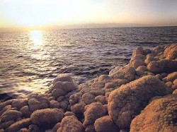 الهويمل : مياه رديئة للشرب في الأغوار